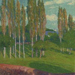 Poplars in Spring